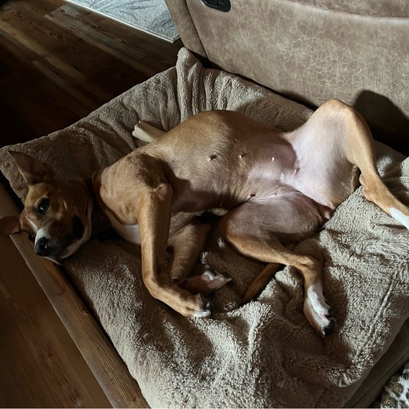 Meet your Posher, Carrie - Picture 14 of 15